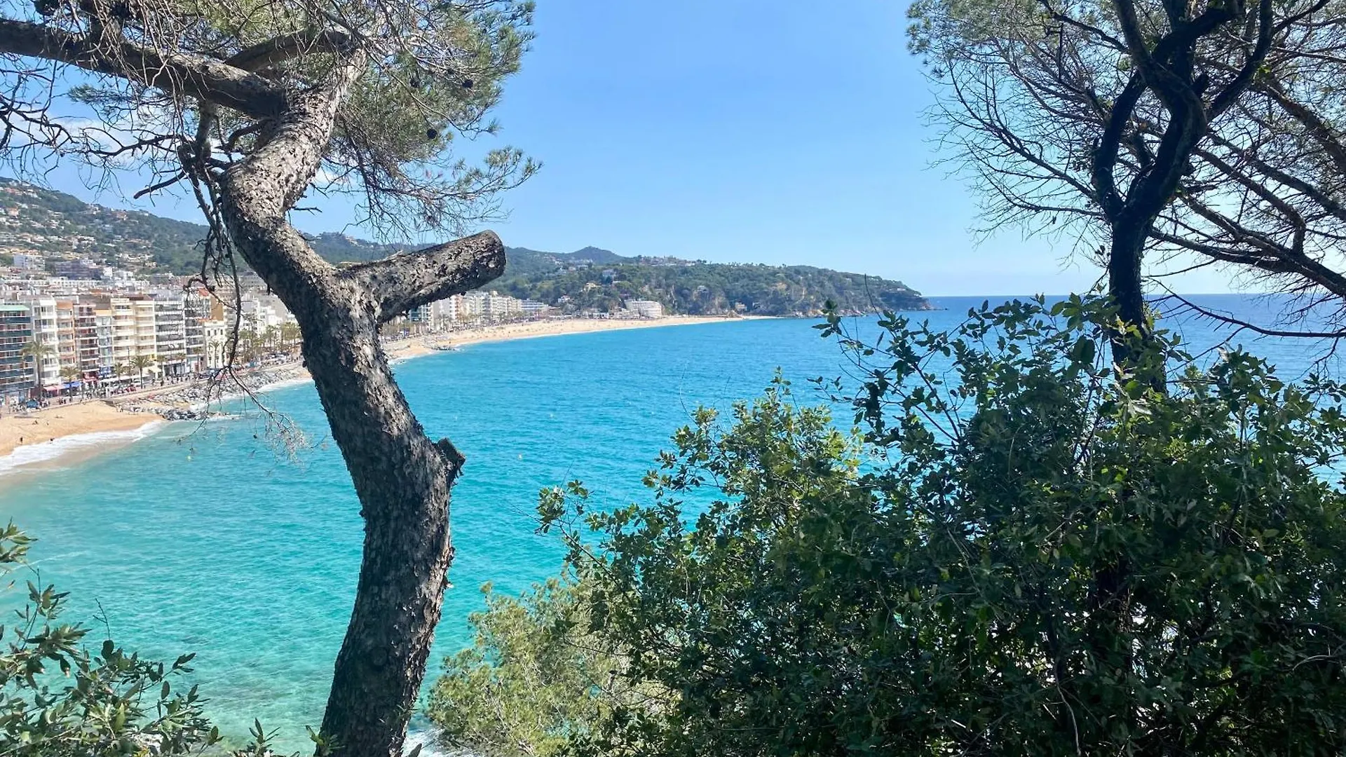 My Alva Park - 50M From The Beach Lloret de Mar