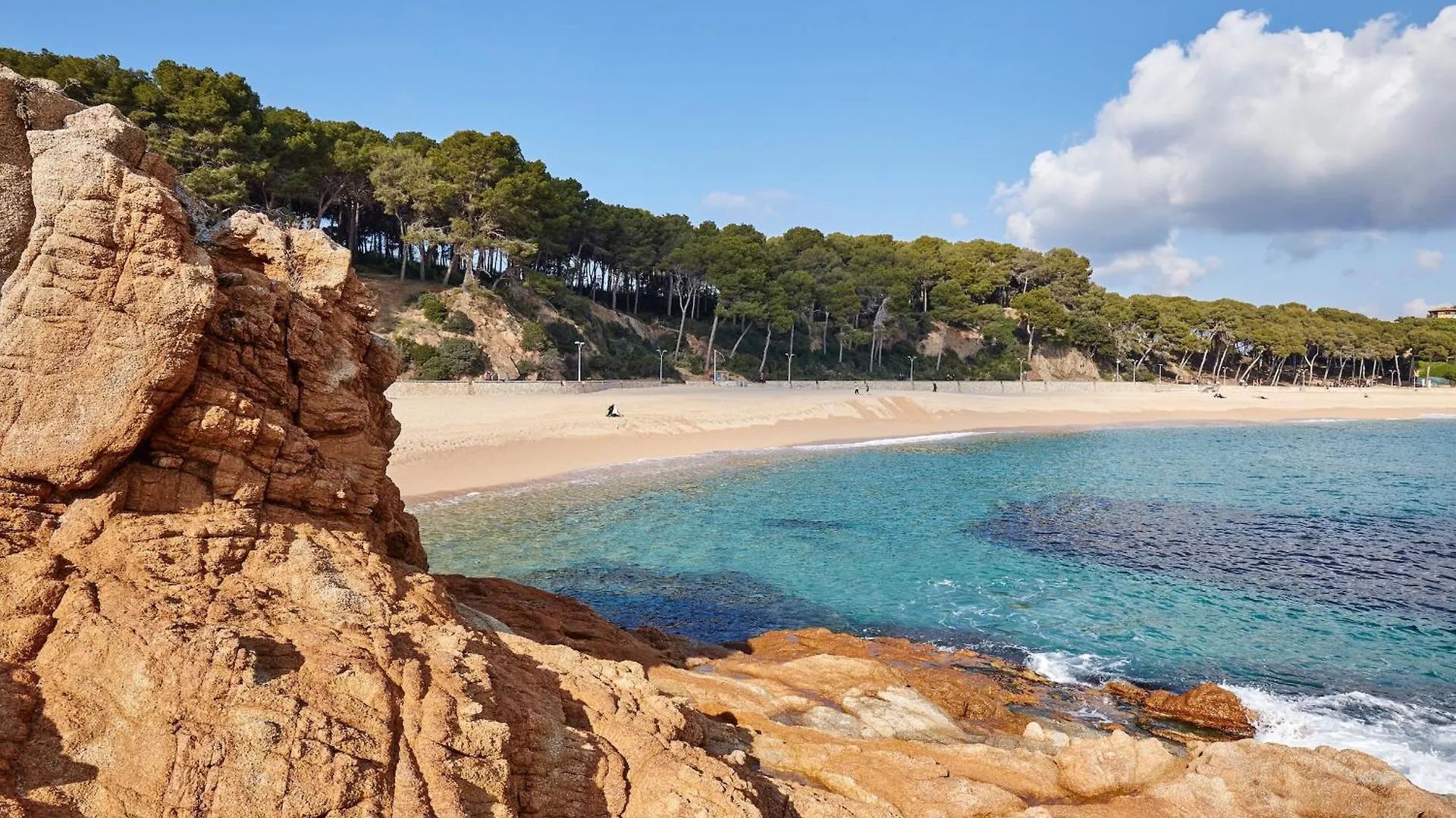 My Alva Park - 50M From The Beach Λορέτ Ντε Μαρ Διαμέρισμα